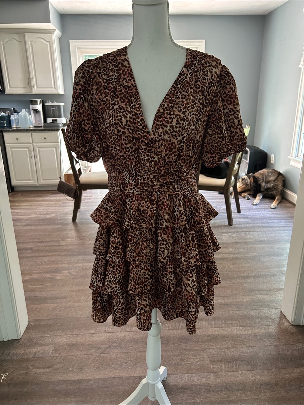 Vici Brown Leopard Print Tiered V-Neck Mini Dress